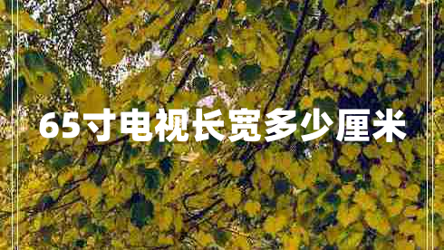 65寸電視長(cháng)寬多少厘米