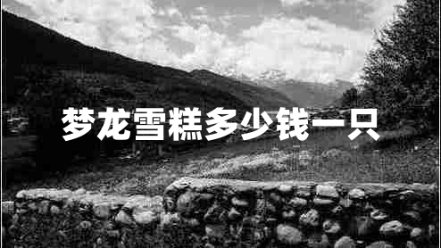 夢(mèng)龍雪糕多少錢(qián)一只