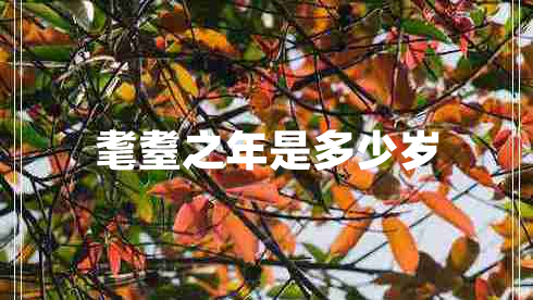耄耋之年是多少歲