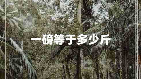 一磅等于多少斤