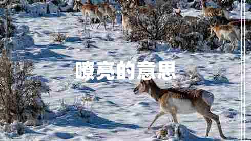 嘹亮的意思