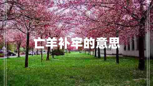 亡羊補牢的意思