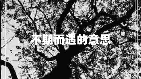 不期而遇的意思