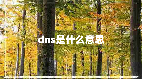 dns是什么意思