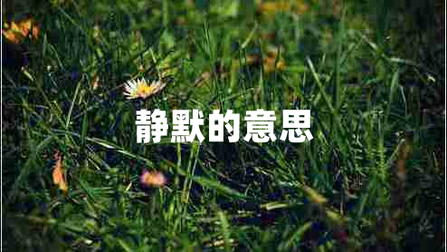 靜默的意思