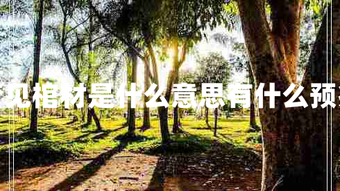 夢(mèng)見棺材是什么意思有什么預(yù)兆