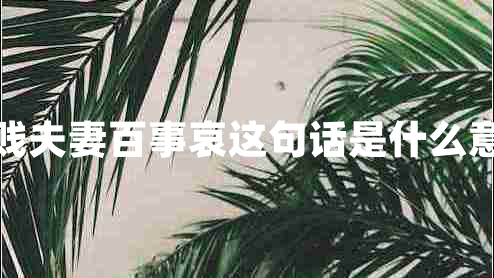 貧賤夫妻百事哀這句話(huà)是什么意思