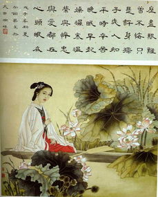 金縷曲中的典故及其含義表達,金縷曲中典故的含義及作用,金縷曲贈梁汾中的典故