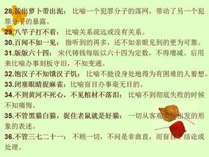 典故,詞語(yǔ),四字,歷史