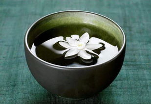 飲茶,典故