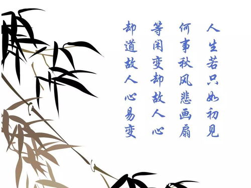 人生若只如初見(jiàn)典故