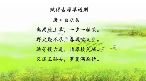 典故子規啼月