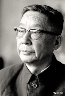 舒慶春典故