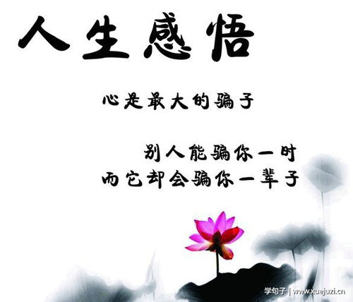 人生感悟經(jīng)典故事
