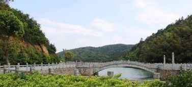 臨湘市典故
