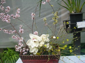 蘭花典故