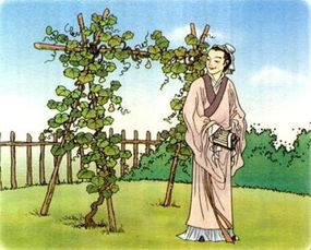 種葫蘆的典故