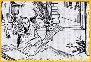 湛氏典故