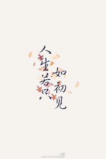 典故,初見(jiàn),人生,若只如