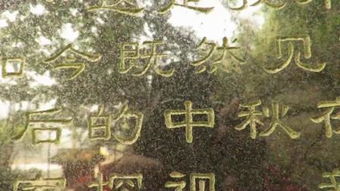 三生石的典故