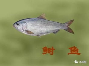 典故