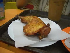 髀中生肉典故