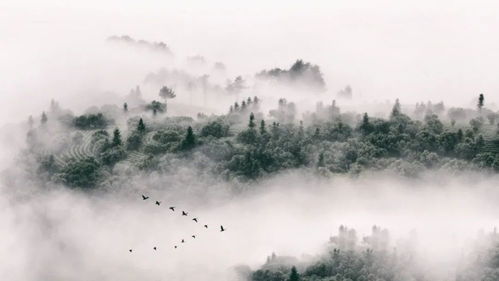 江東父老,典故