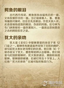 典故,外國