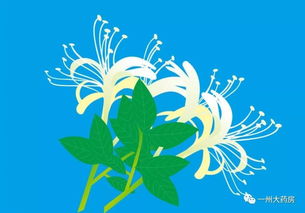 典故,金銀花