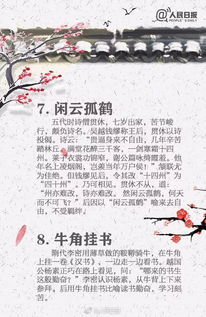 鯤的文學(xué)典故