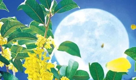桂花的典故詩(shī)