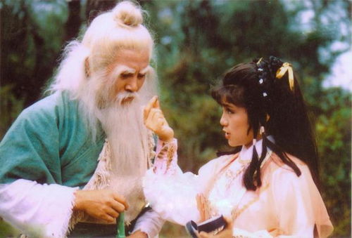 典故,洪七公