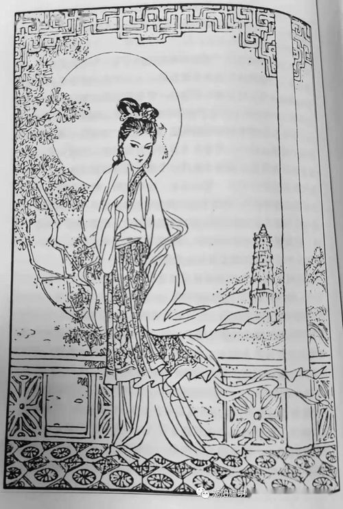 蓉典故