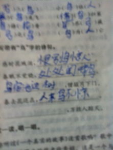 賈島的詩(shī)僧敲月下門(mén)典故,鳥(niǎo)宿池邊樹(shù)僧敲月下門(mén)典故,賈島僧敲月下門(mén)的典故
