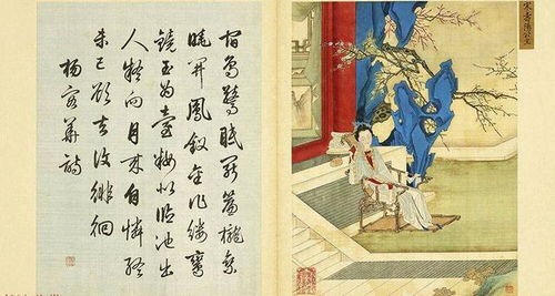 言過(guò)其實(shí),典故