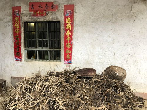 鎮巴典故