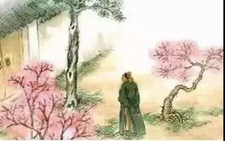 典故,南國