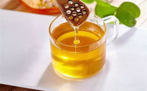 蜂蜜的典故
