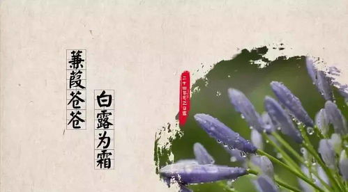 典故白露