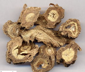 獨活和當歸鑒別,獨活和當歸的主要區別,獨活與當歸味道的區別