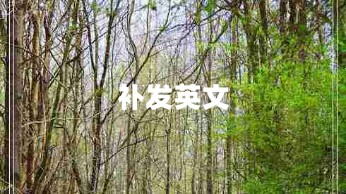補發(fā)英文