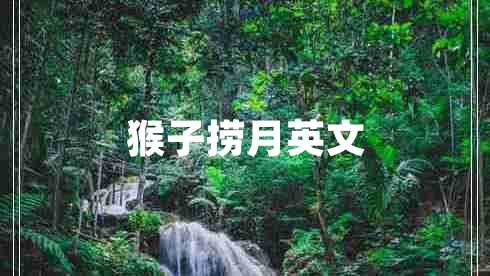 猴子撈月英文