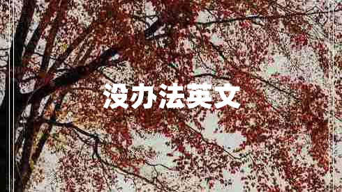 沒(méi)辦法英文