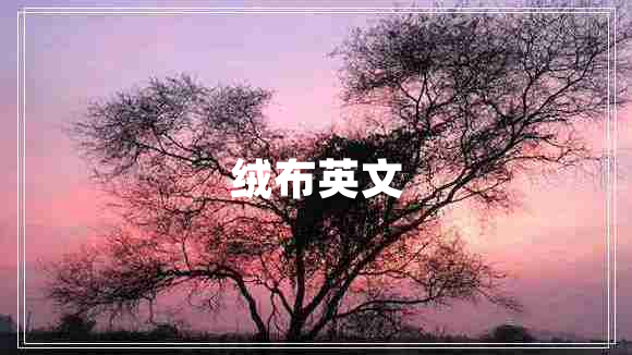 絨布英文
