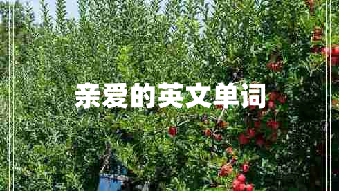 親愛(ài)的英文單詞