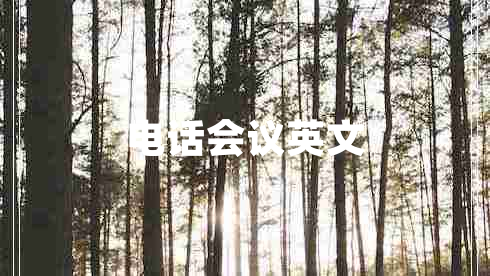 電話(huà)會(huì )議英文
