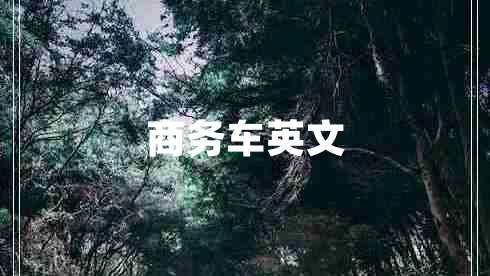 商務(wù)車(chē)英文