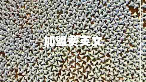加盟費英文