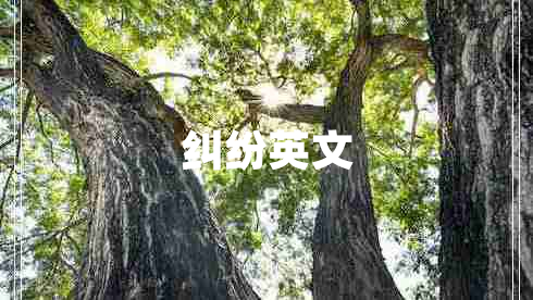 糾紛英文