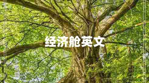 經(jīng)濟艙英文